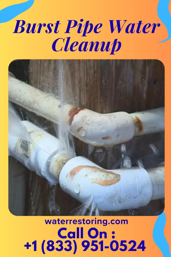 Burst Pipe Water Cleanup in Barnes Lake, MI