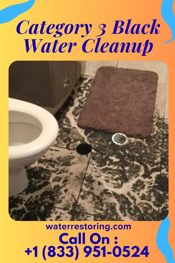 Category 3 Black Water Cleanup in Barnes Lake, MI