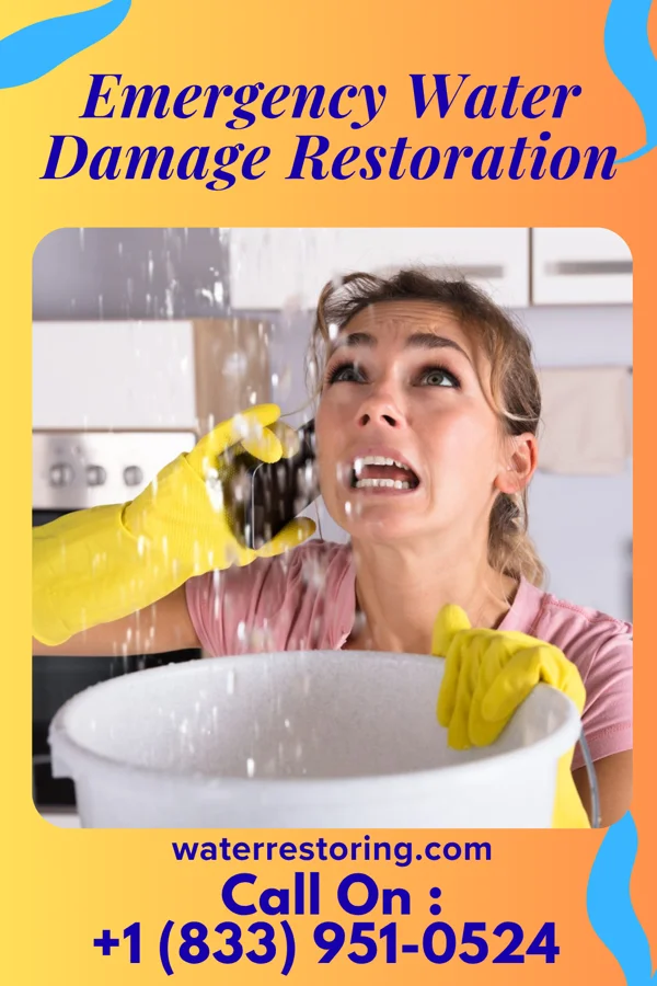 Emergency Water Damage Restoration in Barnes Lake, MI