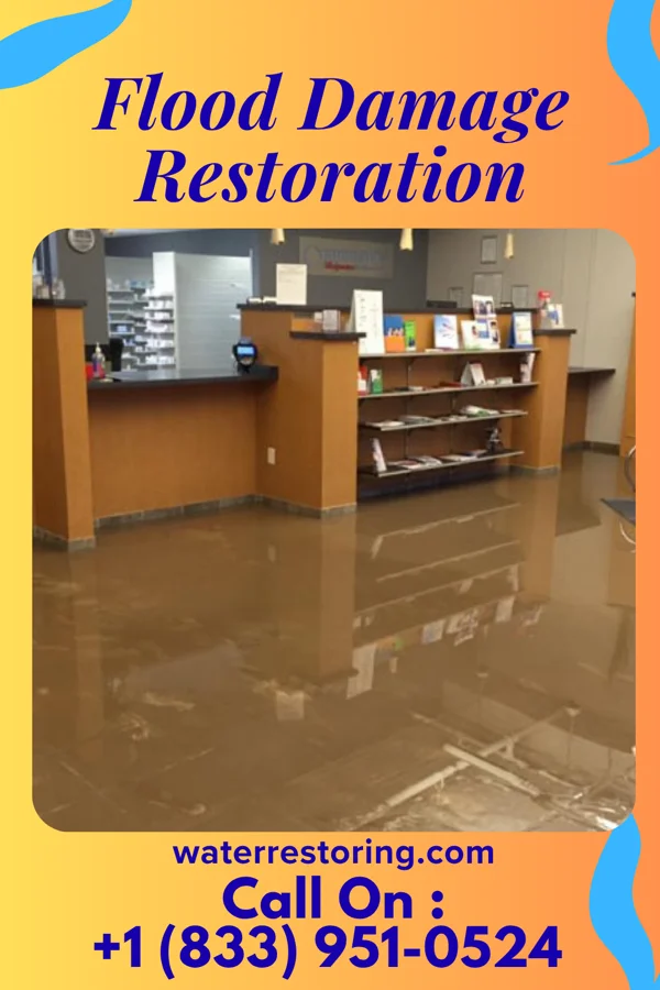Flood Damage Restoration in Barnes Lake, MI