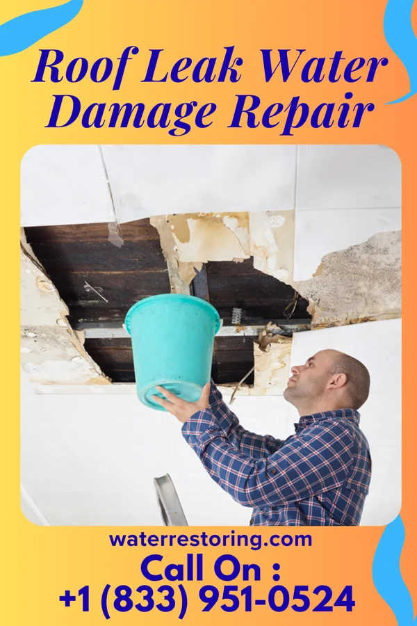 Roof Leak Water Damage Repair in Barnes Lake, MI
