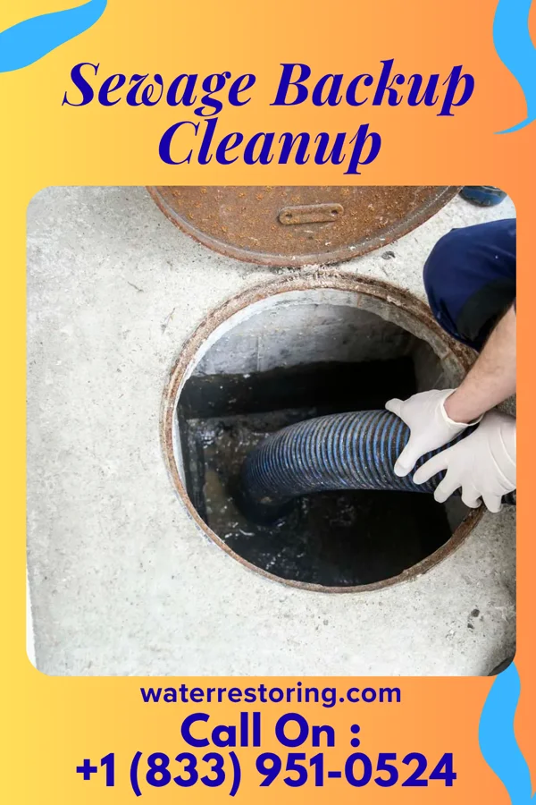 Sewage Backup Cleanup in Barnes Lake, MI